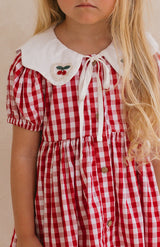 SWEET HOLIDAY DRESS
