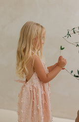 ROMY DRESS - SERAPHINE BLUSH