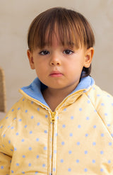 LIMON BLEU PULLOVER