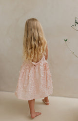 ROMY DRESS - SERAPHINE BLUSH